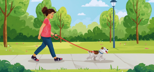 How to Teach Your Puppy to Walk on a Leash Without Pulling